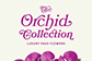 Orchid Collection 2024